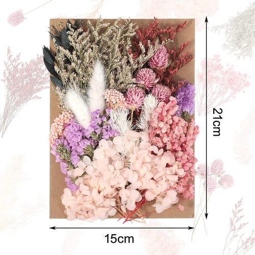 Getrocknete Blumen,Trockenblumen Zum Basteln Mini Set