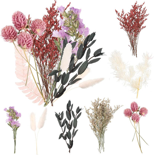 Getrocknete Blumen,Trockenblumen Zum Basteln Mini Set