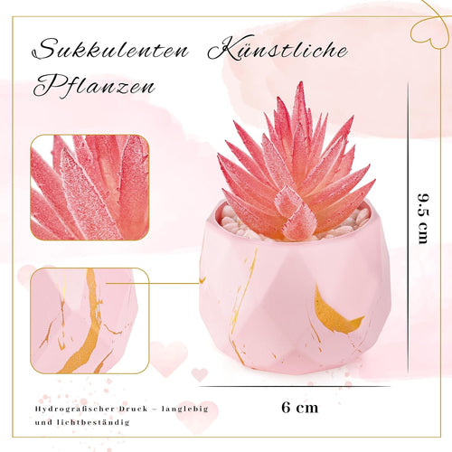 Der Rose 2 Künstliche Sukkulenten in rosa Rautentöpfen für Zimmer und Bad