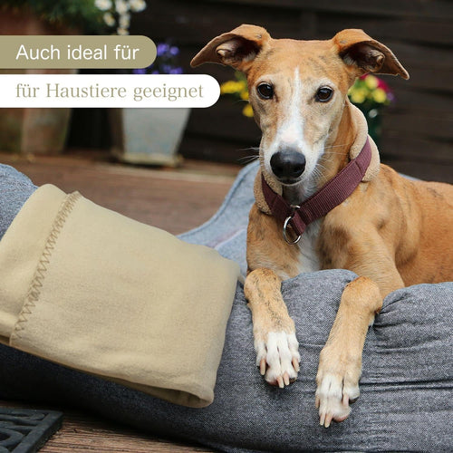 KiGATEX Polar Fleecedecken 2er Set Silber 130x160 cm Oeko-TEX® ca. 420g
