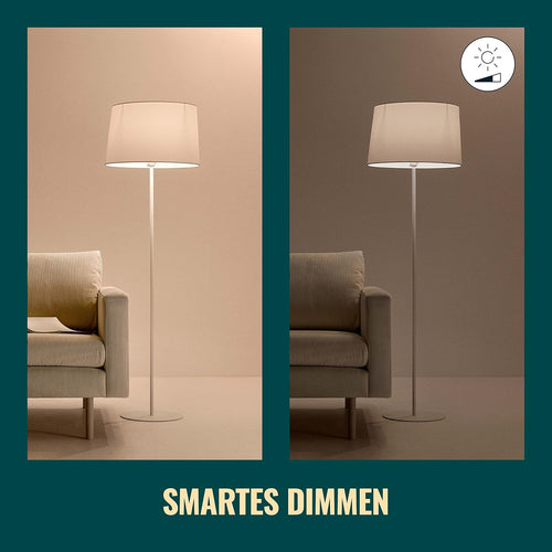 WiZ Warm White LED Lampen E27 2er Pack (806 lm), 60 W Lampen mit warmweißem dimmbarem Licht, smarte Lichtsteuerung über WLAN per Stimme/App