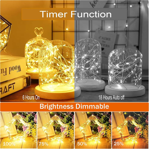 2 Stück LED Lichterkette, 50LED 5M / 17Ft 8 Modi USB lichterkette außen/innen Wasserdichte mit Fernbedienung für Schlafzimmer, Hof, Hochzeit, Weihnachten, DIY etc (Warmweiß)