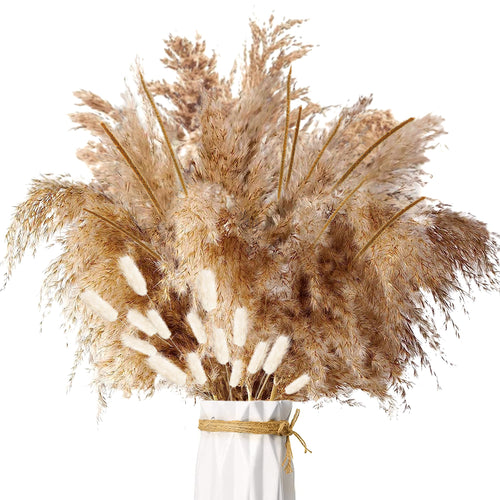 Pampasgras Getrocknet - Natürliche Trockenblumen, Braun、Weiß Pampasgras Flauschige Wedel, Lagurus und Schilfblume Trockenblumen Strauß Dried Flowers, für Blumen Arrangements Heim Decor