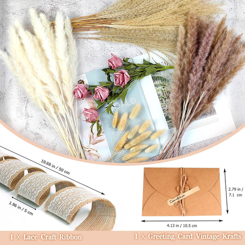 Pampasgras Getrocknet - Natürliche Trockenblumen, Braun、Weiß Pampasgras Flauschige Wedel, Lagurus und Schilfblume Trockenblumen Strauß Dried Flowers, für Blumen Arrangements Heim Decor
