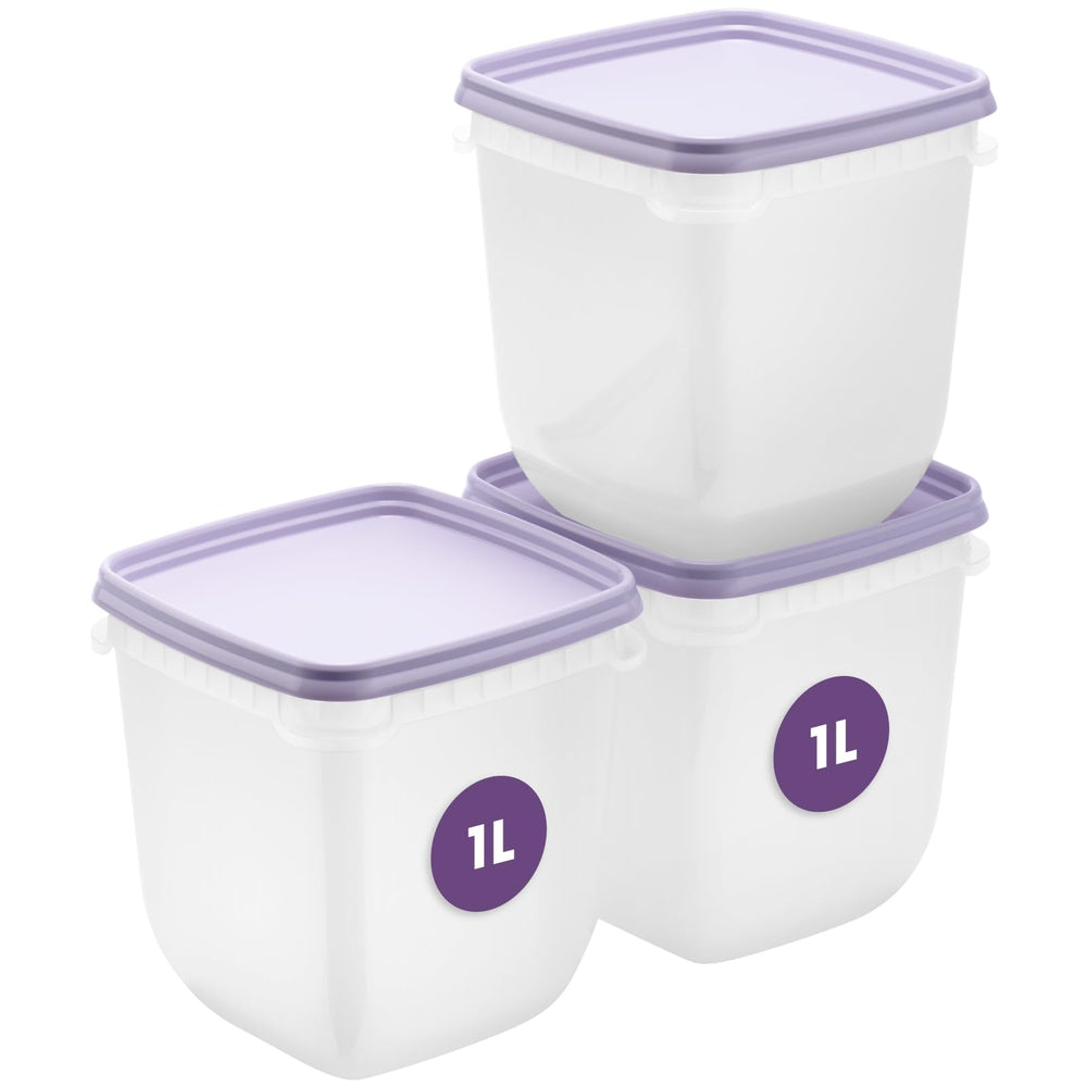 SmartStore flache Frischhaltedosen mit Deckel 2x 1,2L, 24x12x6,5cm