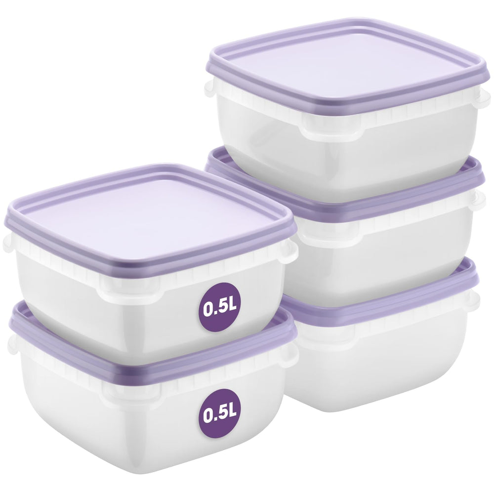 SmartStore flache Frischhaltedosen mit Deckel 2x 1,2L, 24x12x6,5cm