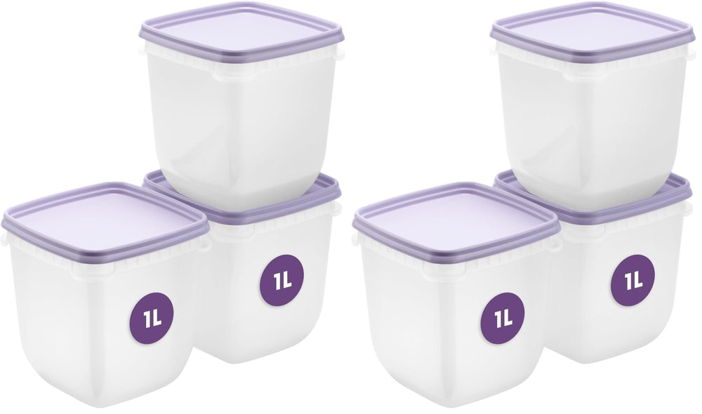 SmartStore flache Frischhaltedosen mit Deckel 2x 1,2L, 24x12x6,5cm