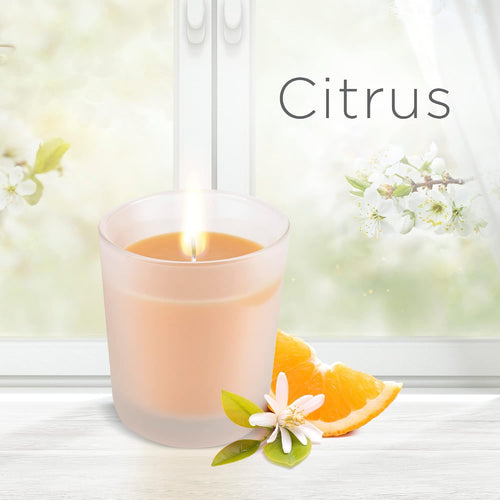 Air Wick Wohlfühl-Duftkerze XL im Glas – Duft: Citrus – Bis zu 40 Stunden Brenndauer – Enthält natürliche ätherische Öle – 220 g Duftkerze