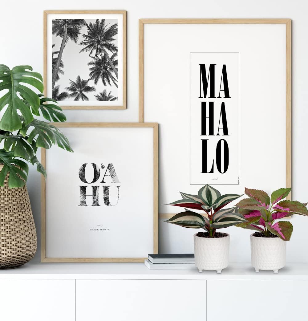 3er Set Kunstpflanze Deko Kunstpflanze klein Pflanzen im Keramiktopf Kunstpflanze Dekoration Modern für Home Office Badezimmer Küche und Innendekoration