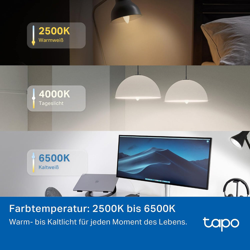 Tapo L430C Smarte WLAN Glühbirne E14, 470 Lumen, 16 Mio. Farben, dimmbar, Zeitplan & Timer, Energieüberwachung, Kompatibel mit Alexa, Google Assistant und Samsung SmartThings