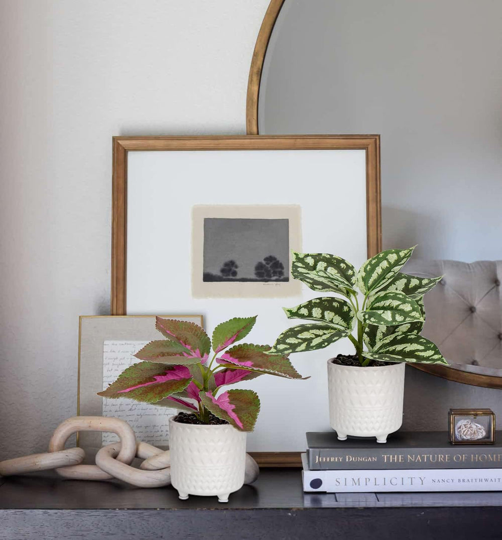3er Set Kunstpflanze Deko Kunstpflanze klein Pflanzen im Keramiktopf Kunstpflanze Dekoration Modern für Home Office Badezimmer Küche und Innendekoration
