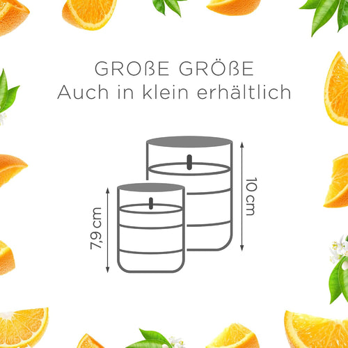 Air Wick Wohlfühl-Duftkerze DUO im Glas – Duft: Citrus – Enthält natürliche ätherische Öle – 2 x Duftkerzenset