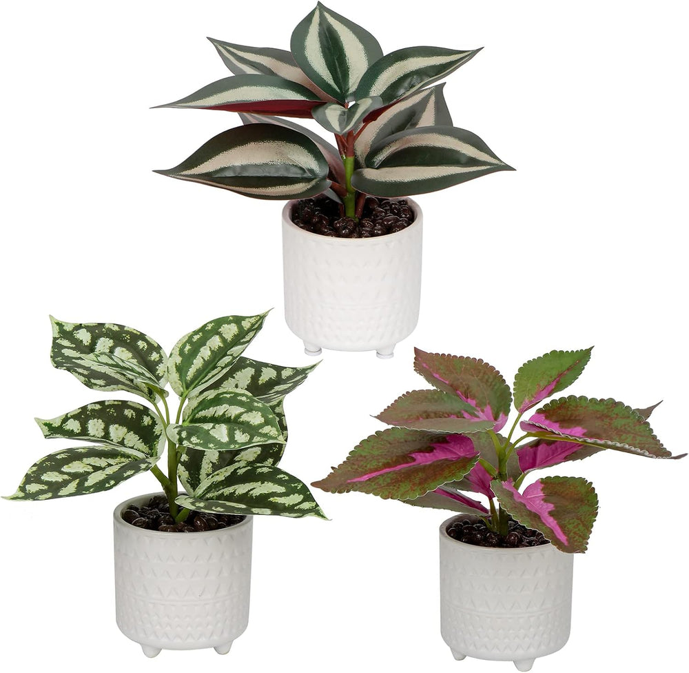 3er Set Kunstpflanze Deko Kunstpflanze klein Pflanzen im Keramiktopf Kunstpflanze Dekoration Modern für Home Office Badezimmer Küche und Innendekoration