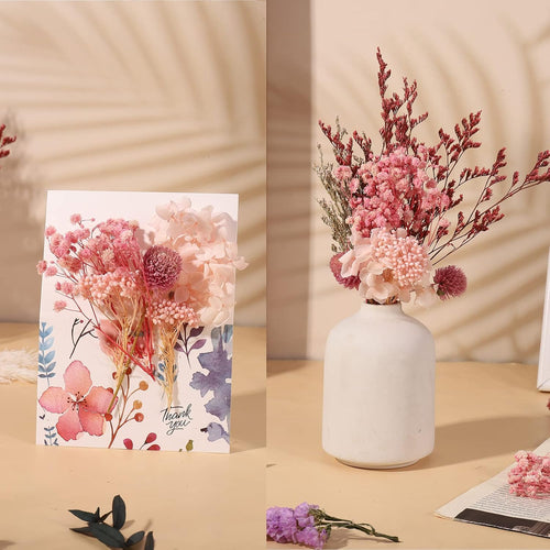 Getrocknete Blumen,Trockenblumen Zum Basteln Mini Set