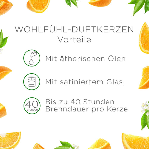 Air Wick Wohlfühl-Duftkerze XL im Glas – Duft: Citrus – Bis zu 40 Stunden Brenndauer – Enthält natürliche ätherische Öle – 220 g Duftkerze