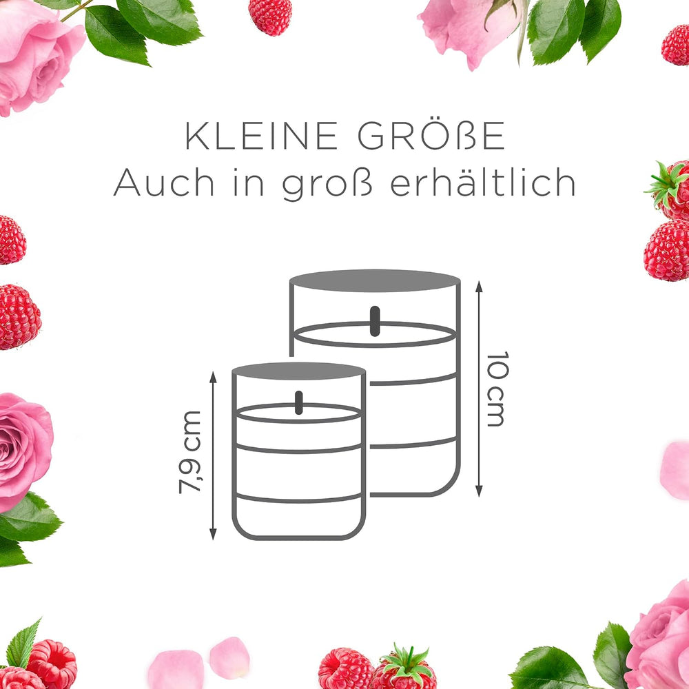 Air Wick Wohlfühl-Duftkerze DUO im Glas – Duft: Raspberry Rose Splash – Enthält natürliche ätherische Öle – Duftkerzenset mit je 2 Kerzen