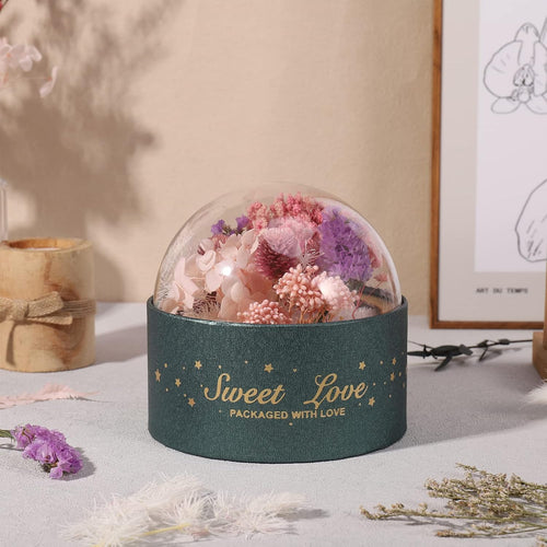 Getrocknete Blumen,Trockenblumen Zum Basteln Mini Set