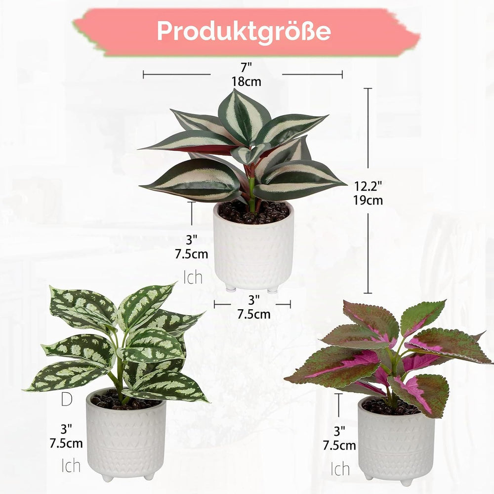 3er Set Kunstpflanze Deko Kunstpflanze klein Pflanzen im Keramiktopf Kunstpflanze Dekoration Modern für Home Office Badezimmer Küche und Innendekoration