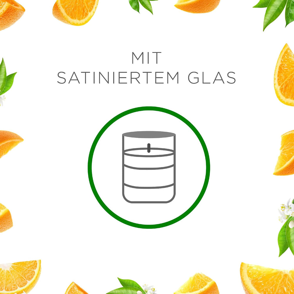 Air Wick Wohlfühl-Duftkerze XL im Glas – Duft: Citrus – Bis zu 40 Stunden Brenndauer – Enthält natürliche ätherische Öle – 220 g Duftkerze
