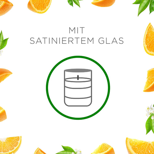 Air Wick Wohlfühl-Duftkerze XL im Glas – Duft: Citrus – Bis zu 40 Stunden Brenndauer – Enthält natürliche ätherische Öle – 220 g Duftkerze