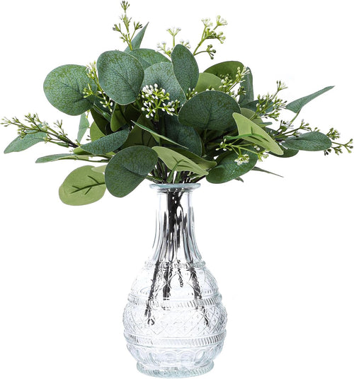 Silberdollar Eukalyptus mit Samen, 29 cm, 12 Stück