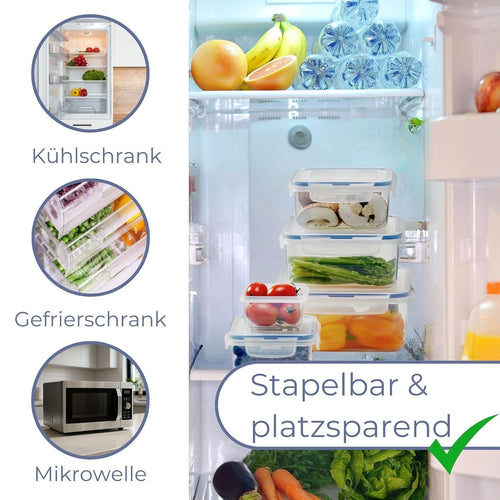 LocknLock PP Classic Vorratsdose mit Ablaufgitter | 1 L | 20,5 x 13,4 x 6,9 cm | 100 % luft- und wasserdicht | Gefrier-& Kühlschrank Organizer | Spülmaschinen-& Mikrowellengeeignet