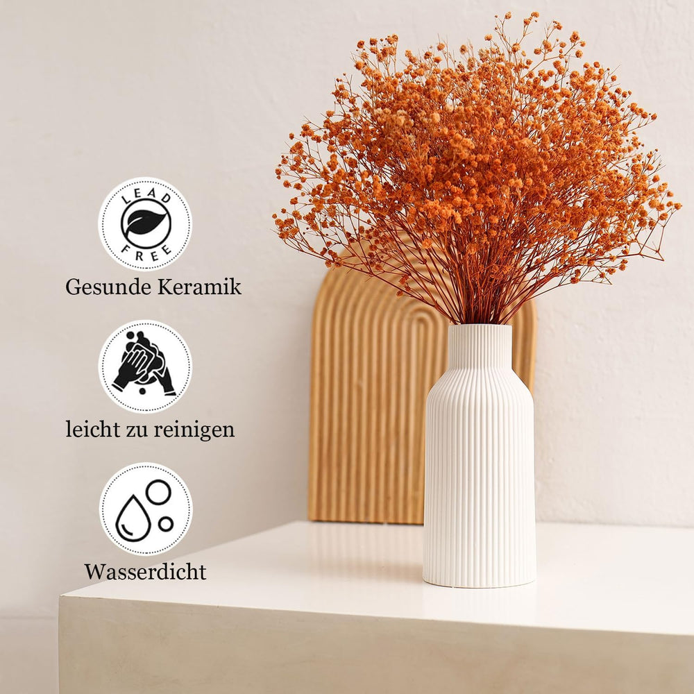 Vase für Pampasgras，20cm Keramik Vase Weiß Matt Rund Modern Design, Boho Style for deko Aesthetic, Blumenvase für Wohnzimmer, Schlafzimmer Dekoration, Einfach Nordic Stil(Weiß)