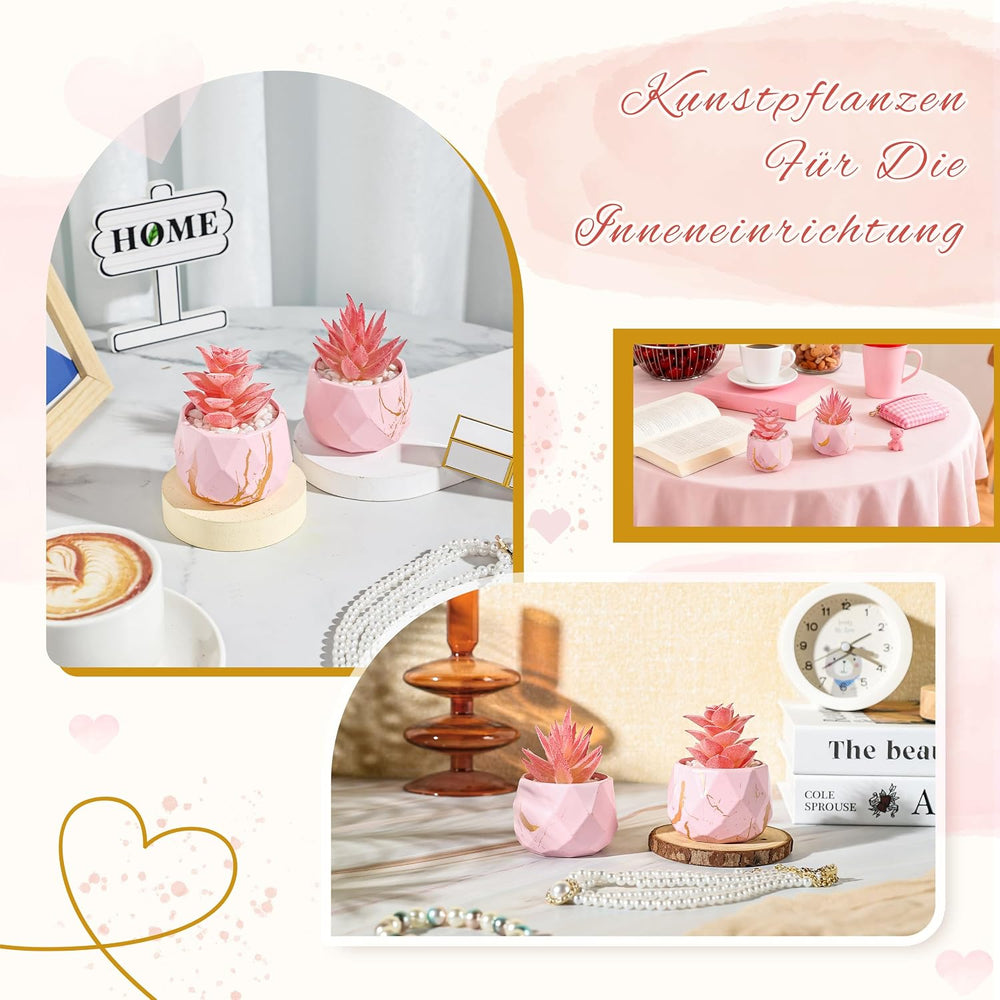Der Rose 2 Künstliche Sukkulenten in rosa Rautentöpfen für Zimmer und Bad