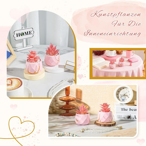 Der Rose 2 Künstliche Sukkulenten in rosa Rautentöpfen für Zimmer und Bad