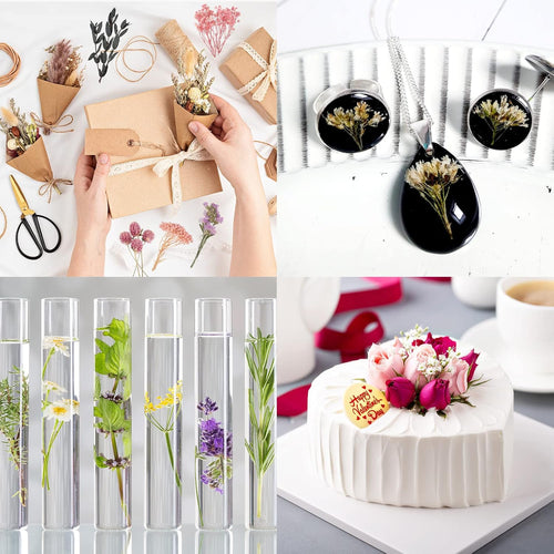 Getrocknete Blumen,Trockenblumen Zum Basteln Mini Set