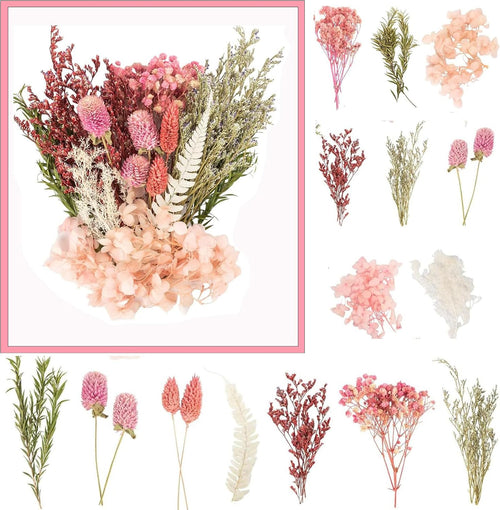 Natürliche Trockenblumen zum Basteln