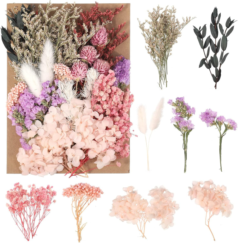 Getrocknete Blumen,Trockenblumen Zum Basteln Mini Set