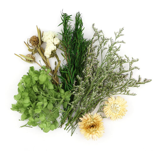 Klein Trockenblumen Zum Basteln,Natürliche Getrocknete Blumen Deko Rosa