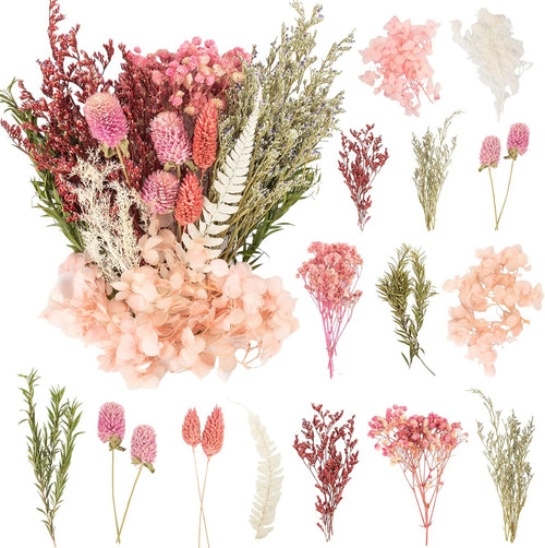 Trockenblumen Set, natürlich getrocknet