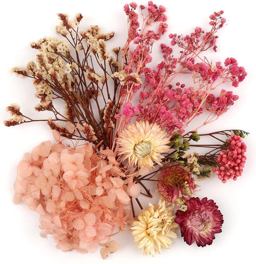 Kleine Trockenblumen, rosa