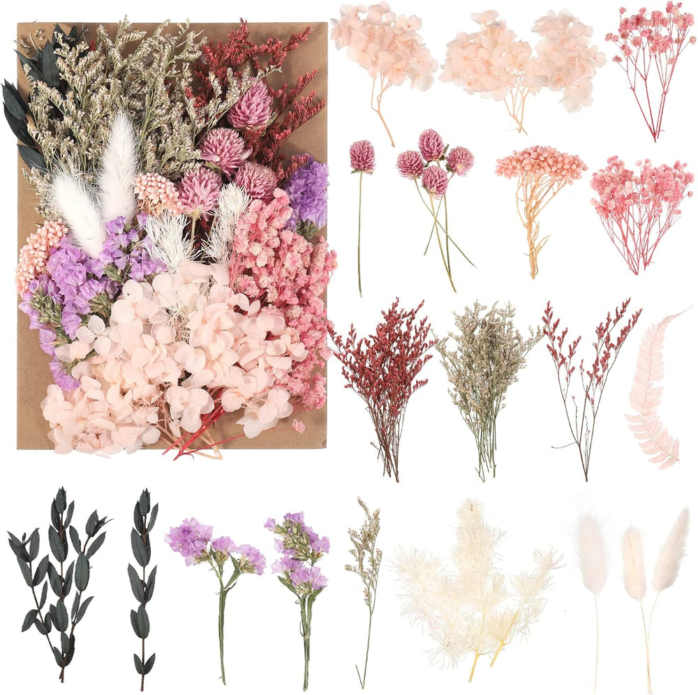 Getrocknete Blumen,Trockenblumen Zum Basteln Mini Set
