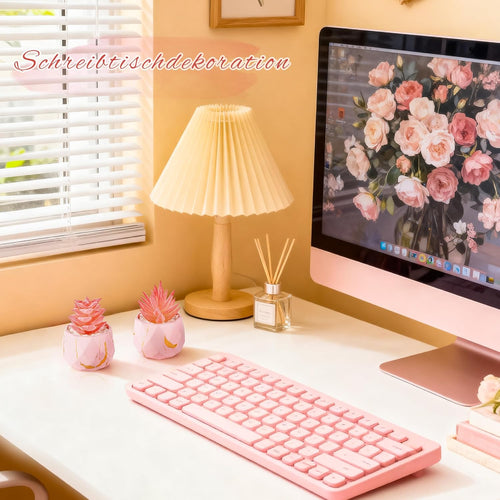 Der Rose 2 Künstliche Sukkulenten in rosa Rautentöpfen für Zimmer und Bad