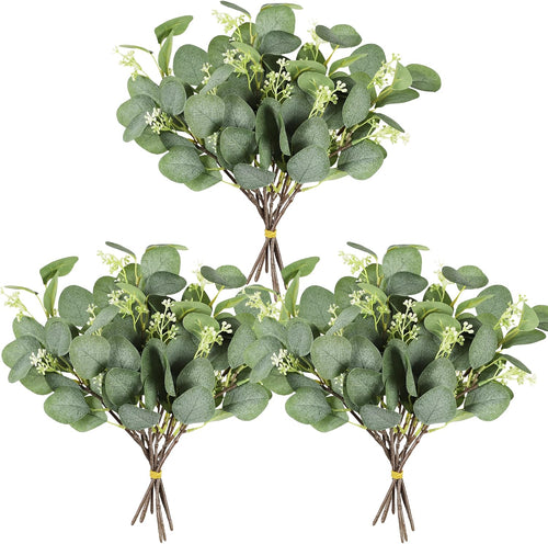 Silberdollar Eukalyptus Zweige, 12 Stück