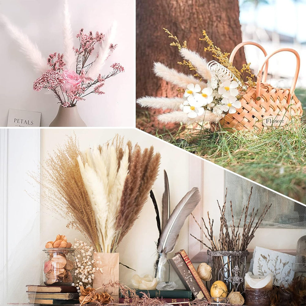 Pampasgras Getrocknet - Natürliche Trockenblumen, Braun、Weiß Pampasgras Flauschige Wedel, Lagurus und Schilfblume Trockenblumen Strauß Dried Flowers, für Blumen Arrangements Heim Decor