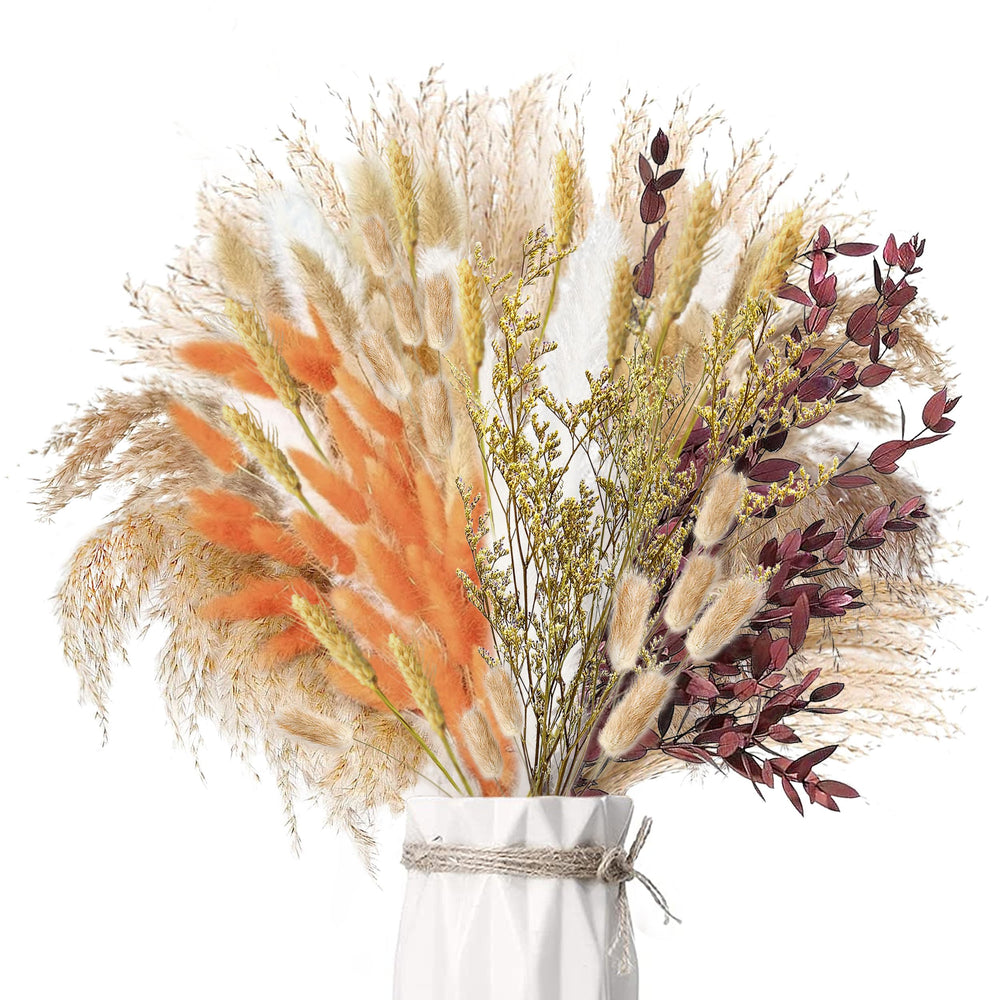 Pampasgras Getrocknet - Natürliche Trockenblumen, Braun、Weiß Pampasgras Flauschige Wedel, Lagurus und Schilfblume Trockenblumen Strauß Dried Flowers, für Blumen Arrangements Heim Decor