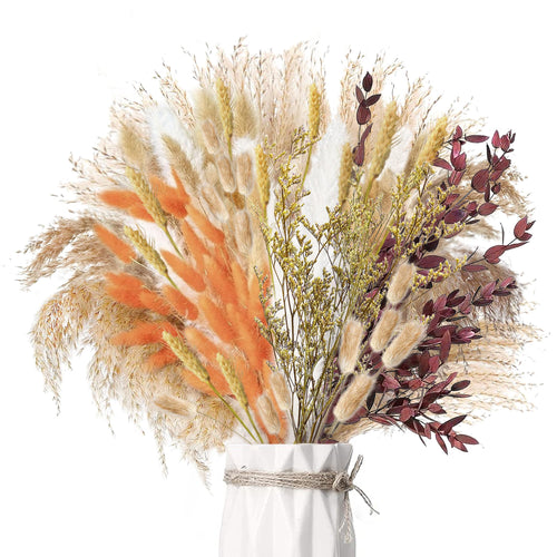 Pampasgras Getrocknet - Natürliche Trockenblumen, Braun、Weiß Pampasgras Flauschige Wedel, Lagurus und Schilfblume Trockenblumen Strauß Dried Flowers, für Blumen Arrangements Heim Decor