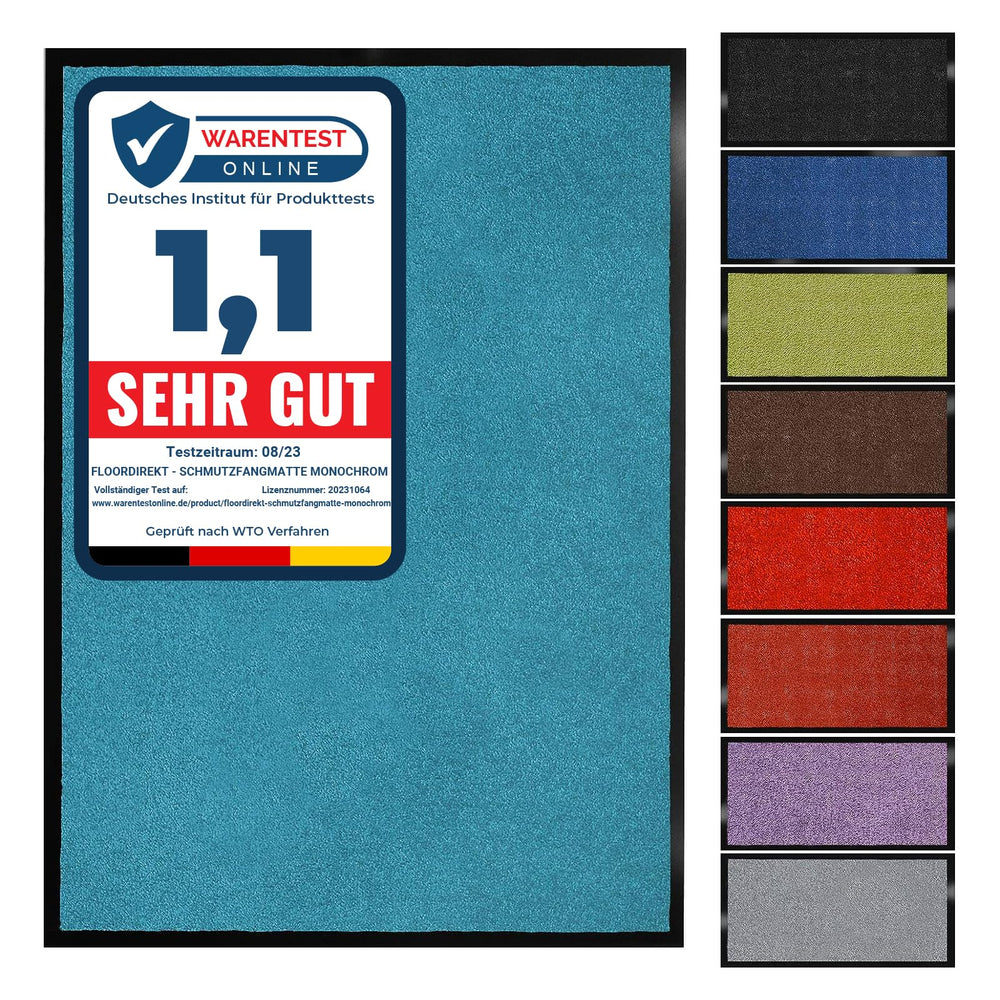 Floordirekt Schmutzfangmatte Monochrom | Fussmatte in 10 Größen & 8 Farben | Türmatte für innen & außen (40 x 60 cm, Schwarz)