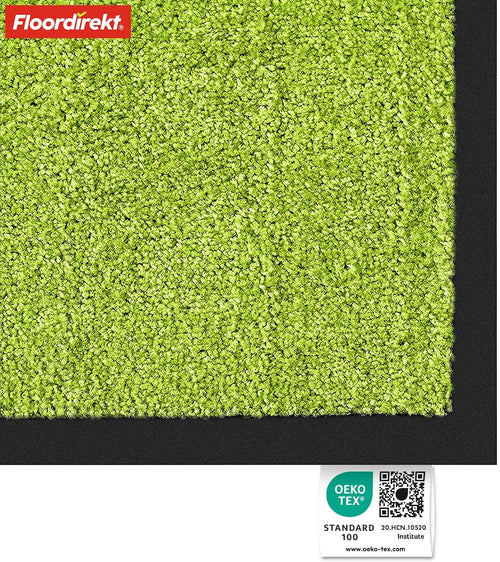casa pura Schmutzfangmatte Rhine, Fußmatte, Türmatte für Eingangsbereich, Fußabtreter, Türvorleger, Sauberlaufmatte (40x60 cm, Grün)